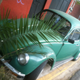Illustration for article titled An Incomplete Survey of VWs in Oaxaca, Mexico